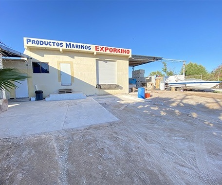 SE VENDE PLANTA PROCESADORA EN BAHIA DE KINO