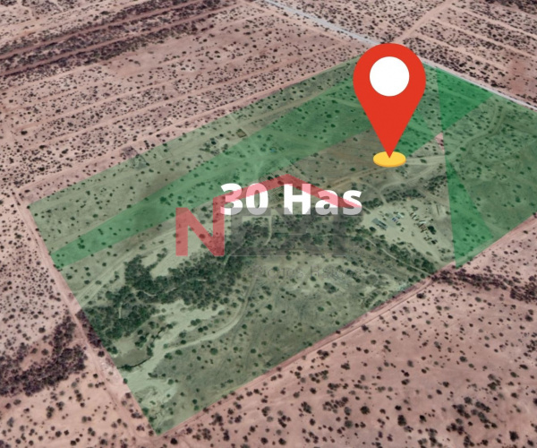 TERRENO EN VENTA EN EJIDO MESA DEL SERI