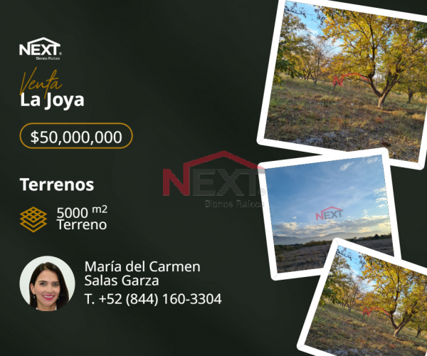VENTA DE TERRENO EN ARTEAGA